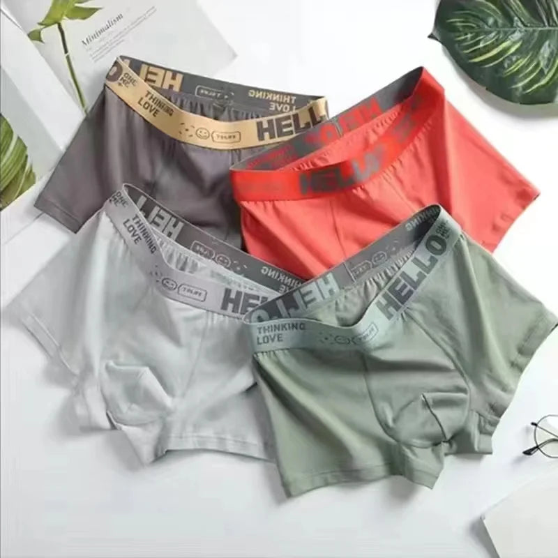 Men's Underwear Sexy Panties Cotton Boxers